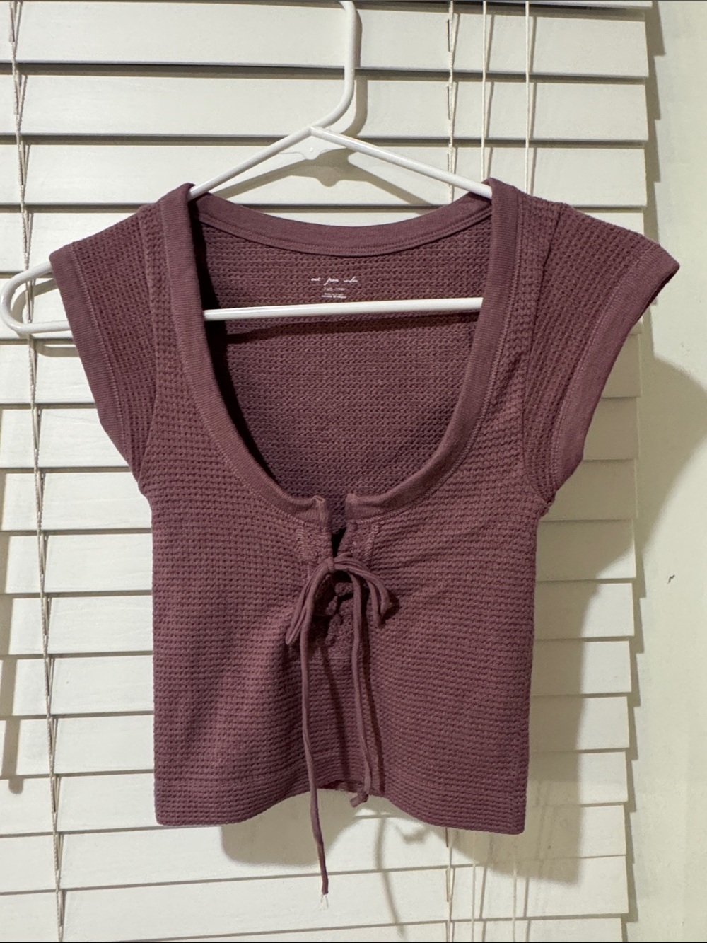 Urban Outfitters Mauve Knit Scoop Tie-Front Crop Top